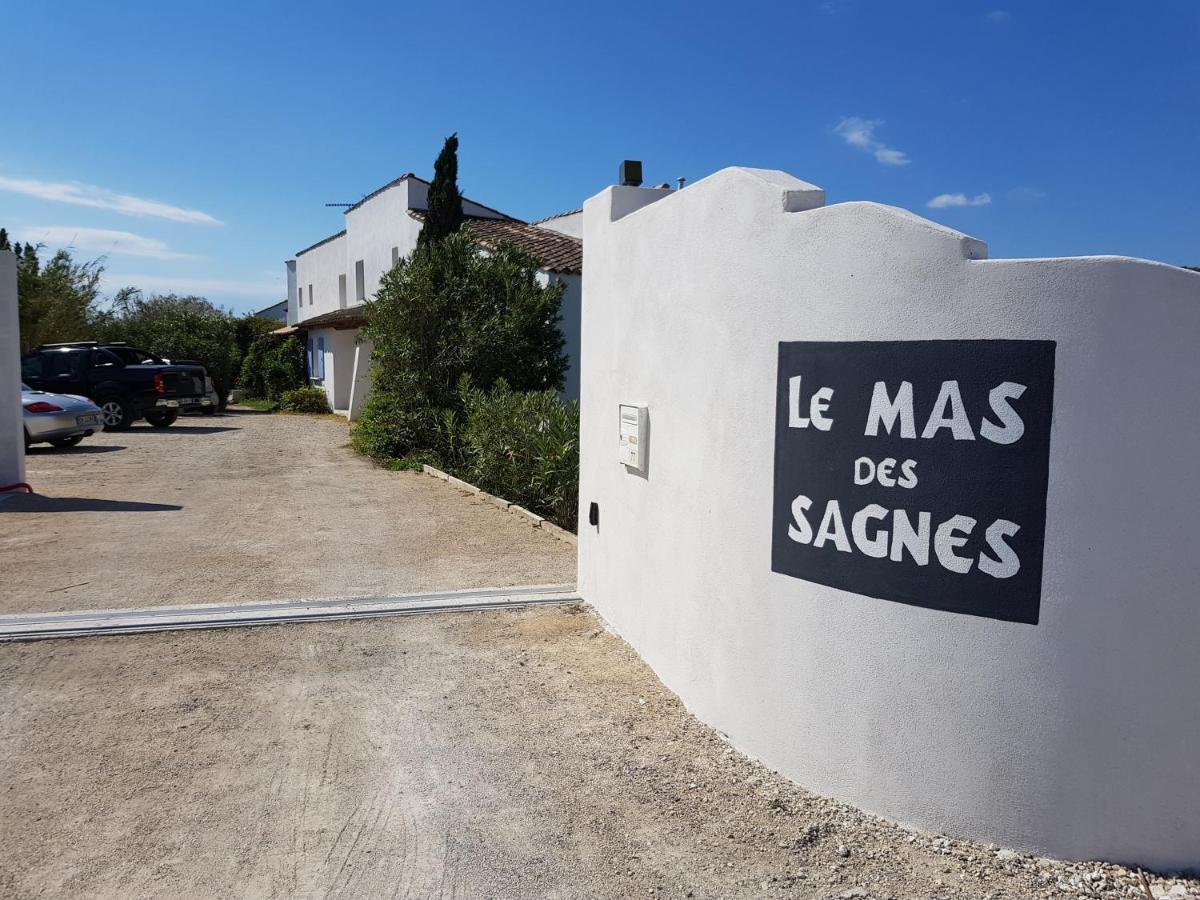 Le Mas Des Sagnes 생트마리들라메르 외부 사진